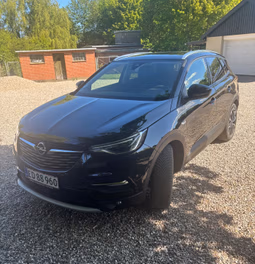 OPEL 
                Grandland X Thumbnail 3