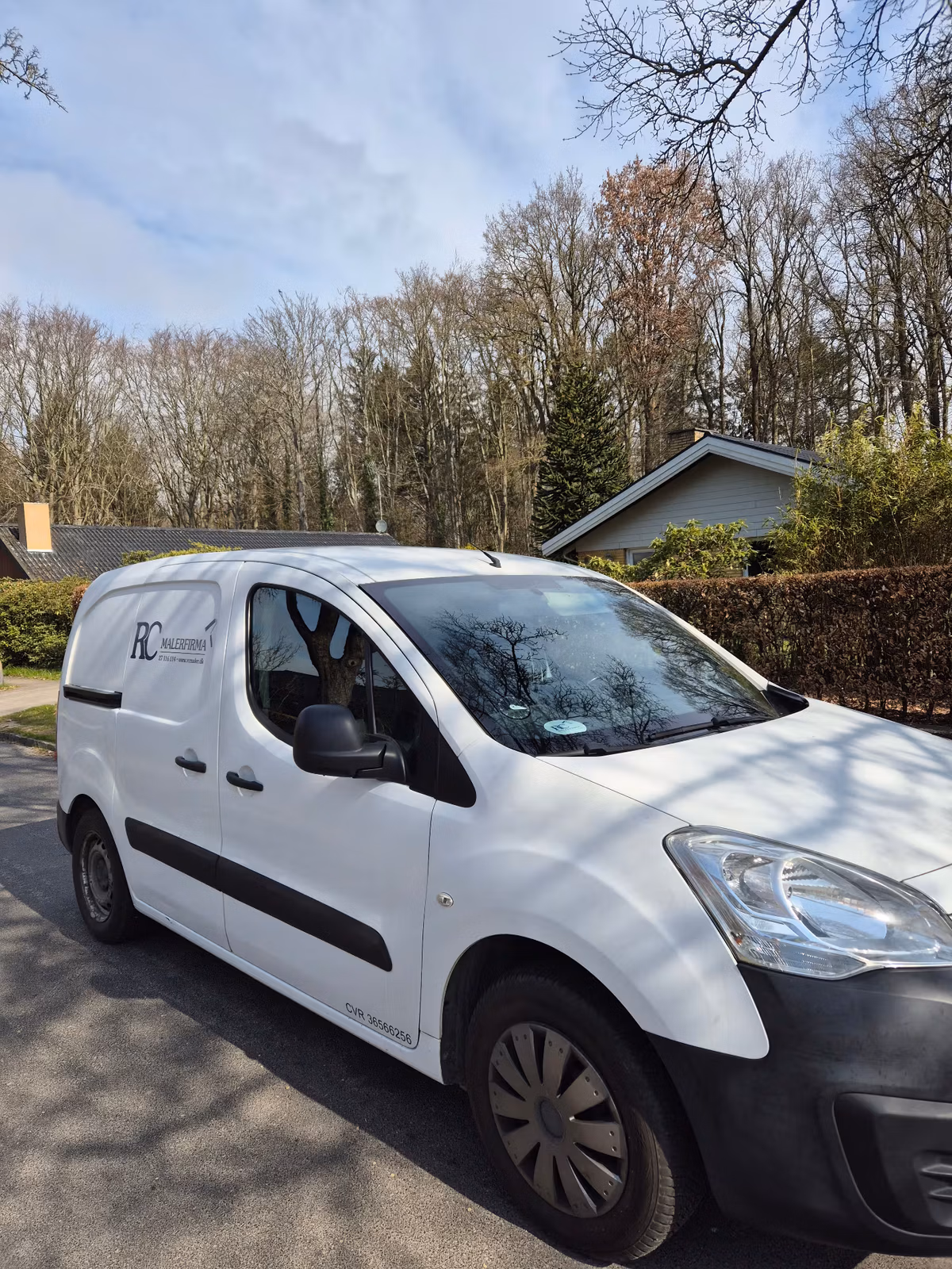 CITROËN 
                Berlingo Cityvan 1