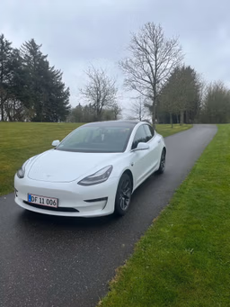 TESLA 
                Model 3 Thumbnail 2