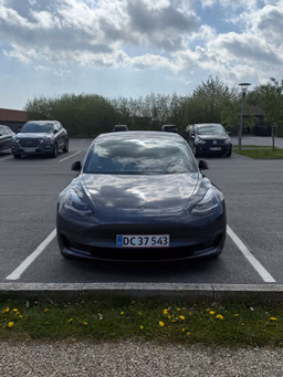 TESLA 
                3 Thumbnail 2